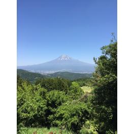 富士登山シーズン到来！