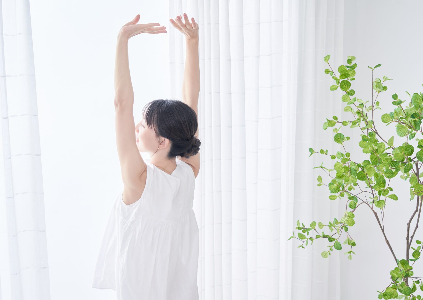 空気がきれいな家